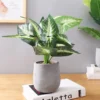 Spathiphyllum Artificial (Real Touch) Silk Plants Green
