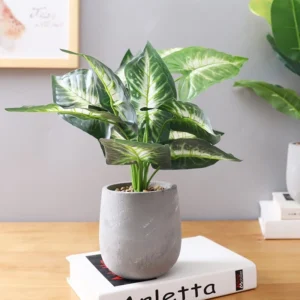 Spathiphyllum Artificial (Real Touch) Silk Plants Green